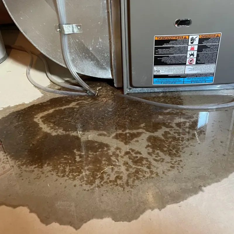 Pipe Burst and Leak Restoration in Hartford, VT